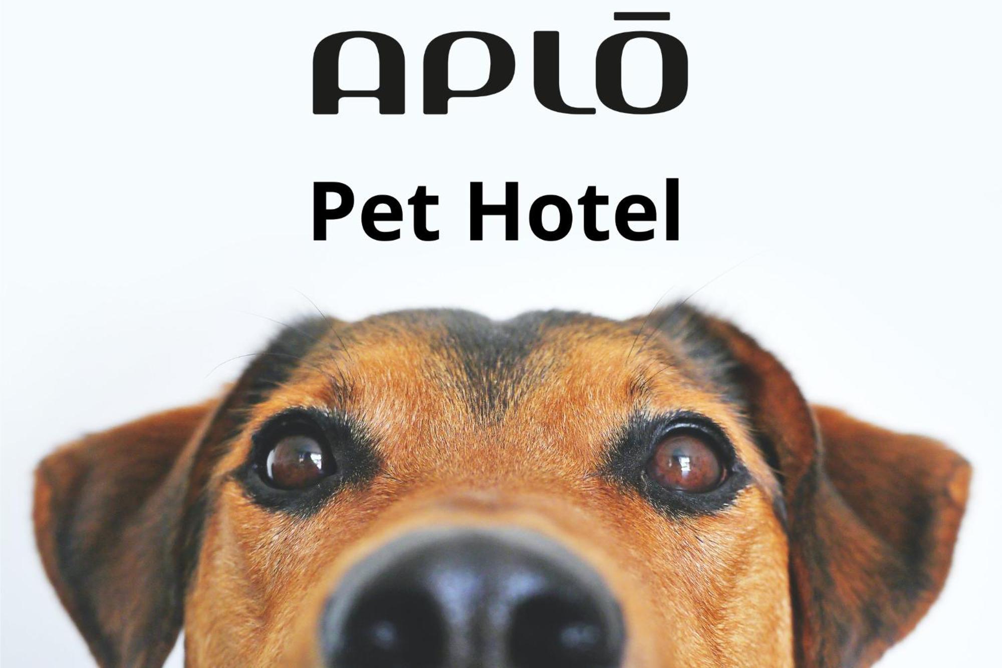 Hotel Aplo - Breakfast Experience Cervia Exteriér fotografie